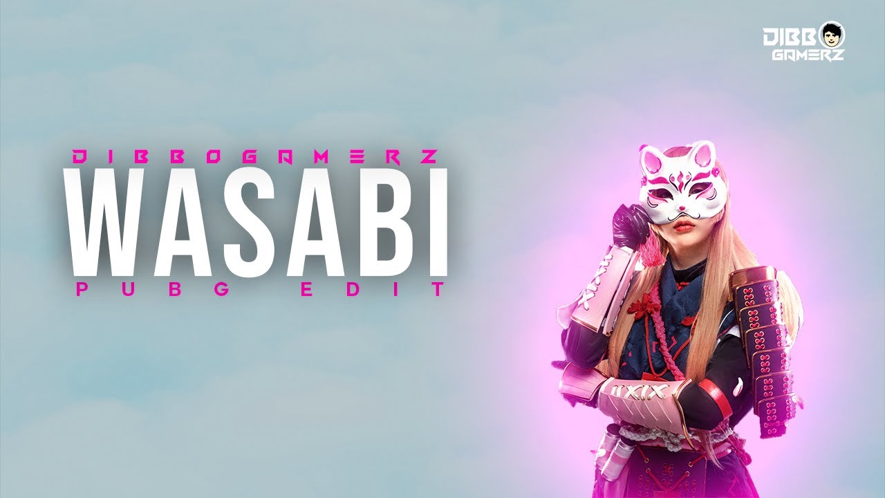 Wasabi Cleanest Pubg Montage | DibboGamerZ