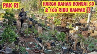 BONSAI MATERIAL PRICES‼️CLEARANCE SALE STARTING FROM 50K 📞 0823-3399-2822 @JeckpaeyBonsai91