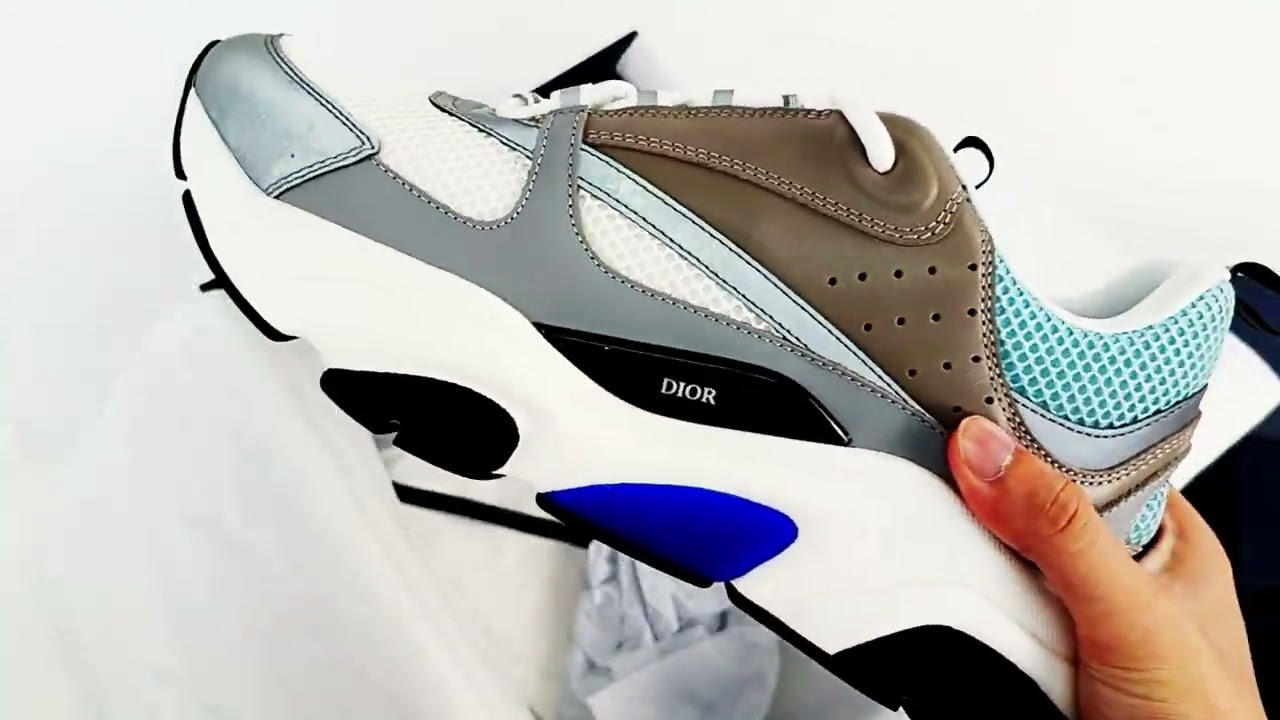 Dior B22 White Blue