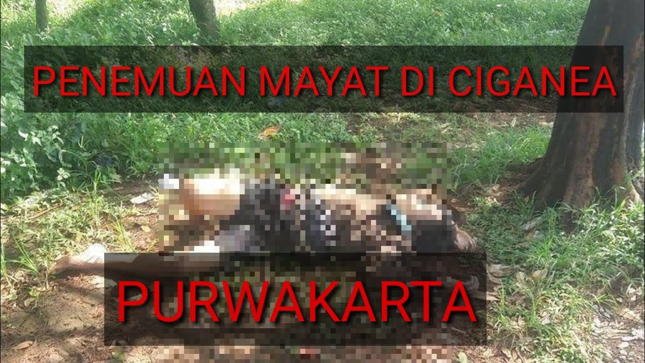 viral Kronologi penemuan mayat di ciganea menurut warga sekitar