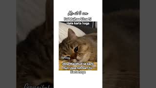 overthinking#tweetreels#aesthetic#lofichill#brokenheart#desihumor#cat#lofimusic#thoughts#shayari#fyp