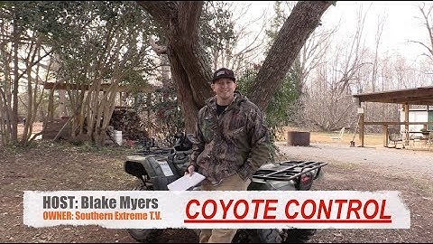 Coyote Hunting Tip #6 - How To Read A Coyotes Body Language