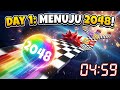 LIVE Ball Run Day 1 - Perjalanan Menuju Skor tinggi