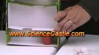 Little Labs Plants Science Kit Plants Maze Science Experiment