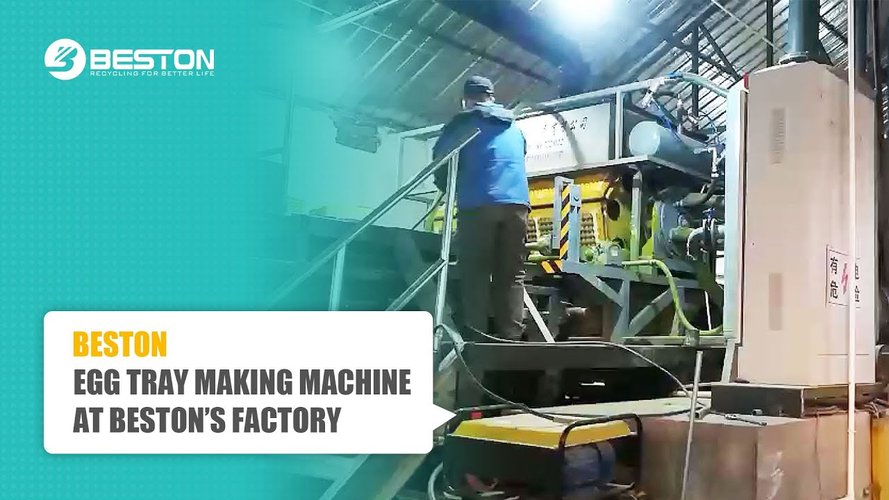 Automatic Egg Tray Making Machine with Multi-layer Metal Dryer - Beston ...