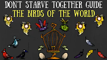 What do Birds do in don't starve?