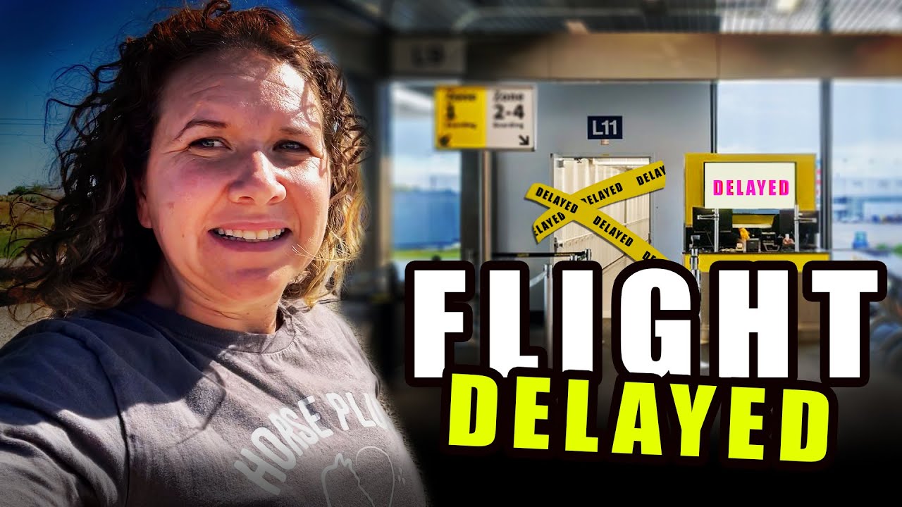Flight Delayed! - Horse Shelter Heroes S4E23