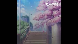 BOBOY -- Janji Seorang Kekasih