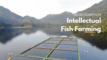 Intellectual Fish Farming | IoT | Poseidon | #CoCoonpitch