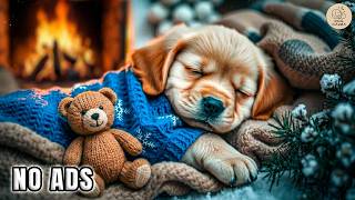 NO MID ADS Calming Dog Music For Sleep Dreaming — Soft Sounds To Ease Stress