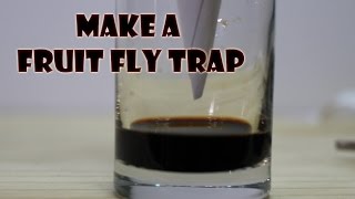 In this video learn how to make a simple but effective fruit fly trap.
flies are annoying trap will have them cleared out of your house. ...