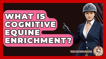 What Is Cognitive Equine Enrichment? - The Horses Stable