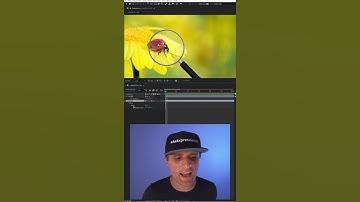 Linking Effect & Layer Positions in After Effects #shorts