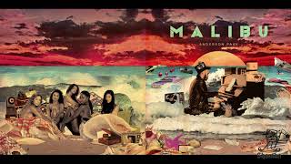 Anderson .Paak - The Bird