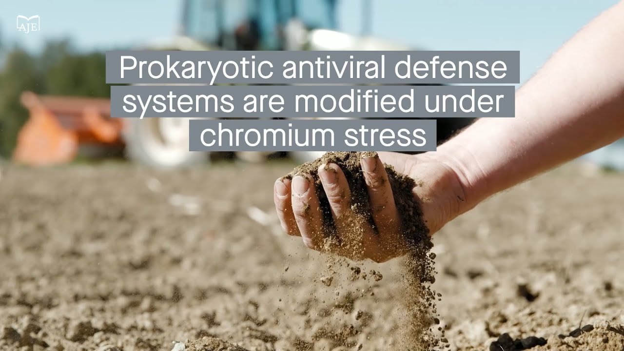 Adaptive modifications in prokaryotic antiviral defense systems under abiotic stress in soil