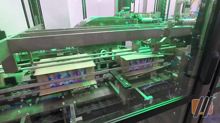 Knock Down Case Packer for Cartons of Ice Cream | Massman Automation