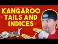 How To Trade Kangaroo Tails on Indices | FOR SMALL ACCOUNTS