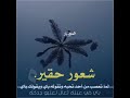 شعور حقير لما تعصب من احد تحبه وتقوله باي ويقولك باي في عينك تعال لعنبو حالات واتساب تصميم المختارFM 