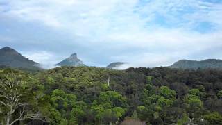 A View of Mount Warning