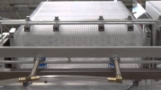 MGS IPP Clear Bakery Tray