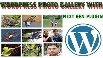 Step By Step Create a WordPress Photo Gallery with Next Gen Plugin