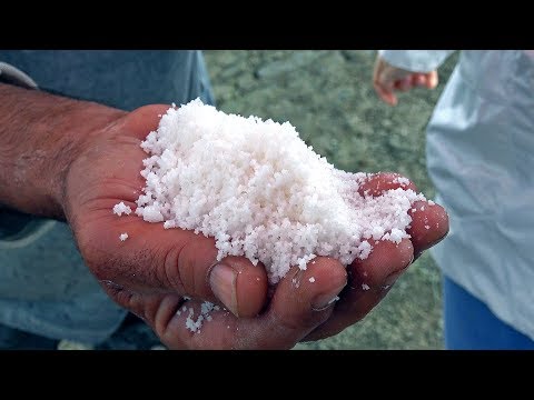 Video: Donde Se Extrae La Sal Y El Azúcar