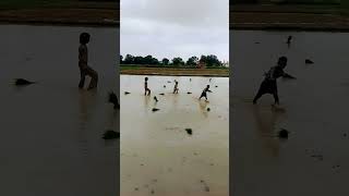 Villeg life#dhan ropai#shorts#shortvideoshortvideo