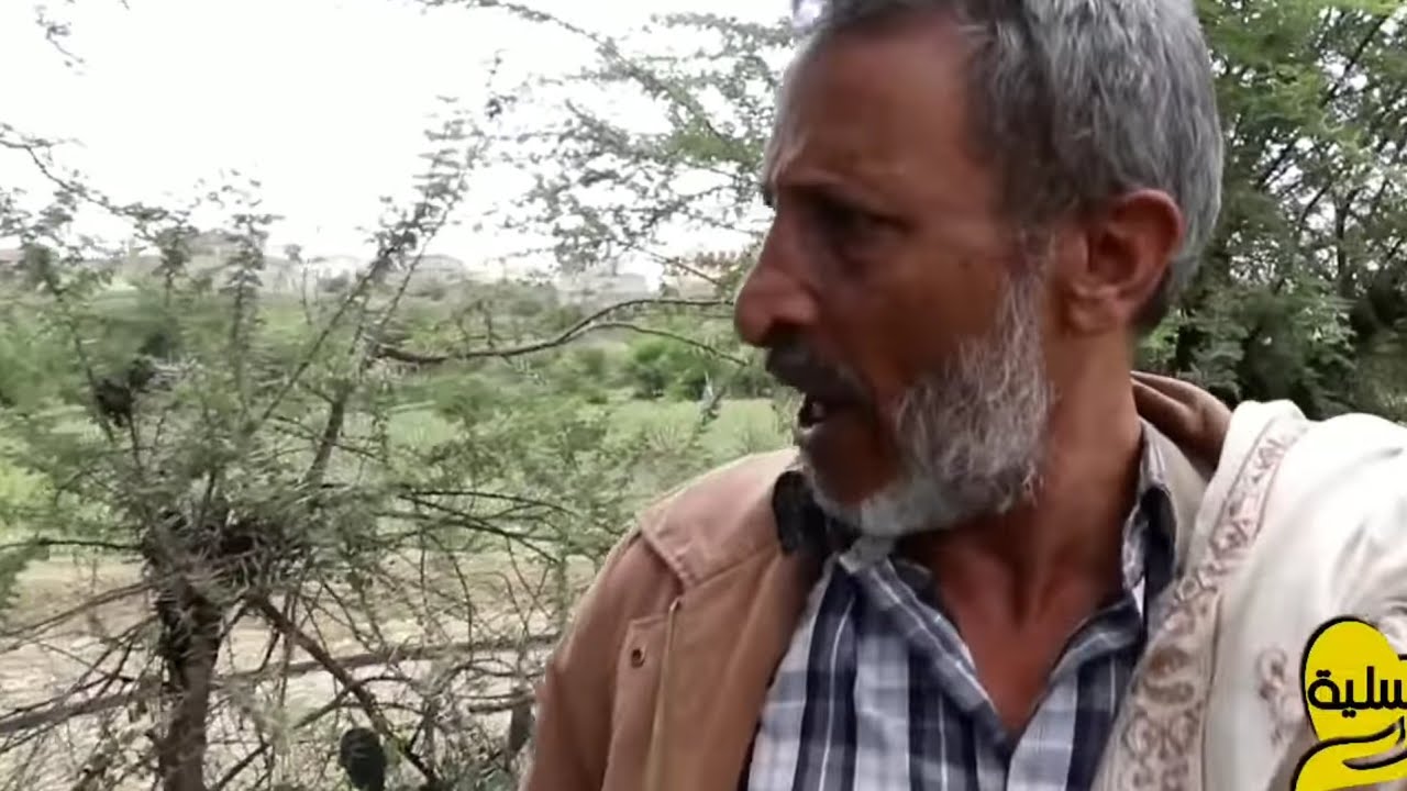 خانه الوكيل حقه