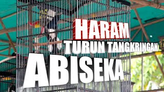 GA BISA DI KEJAR | HATTRICK DI PIALA JAGUAR INDONESIA 2 !! ABISEKA EQ PARADISE SF BANDUNG !!