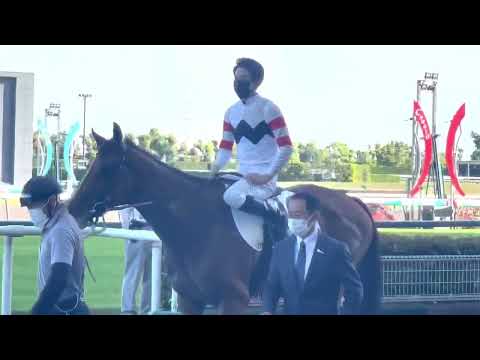 しあわせ王子様登場✨🐎