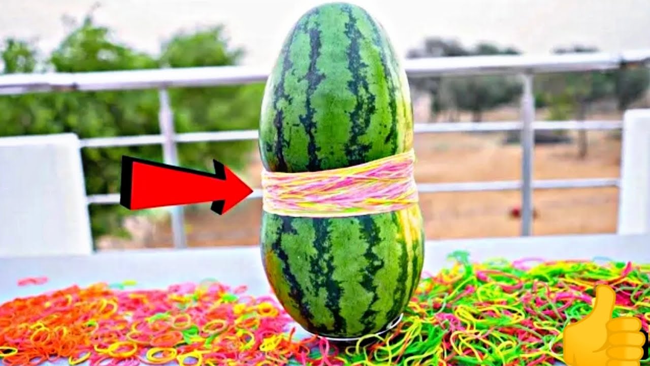 WATER Melon VS RUBBER BANDS experiment trending viral viedo 