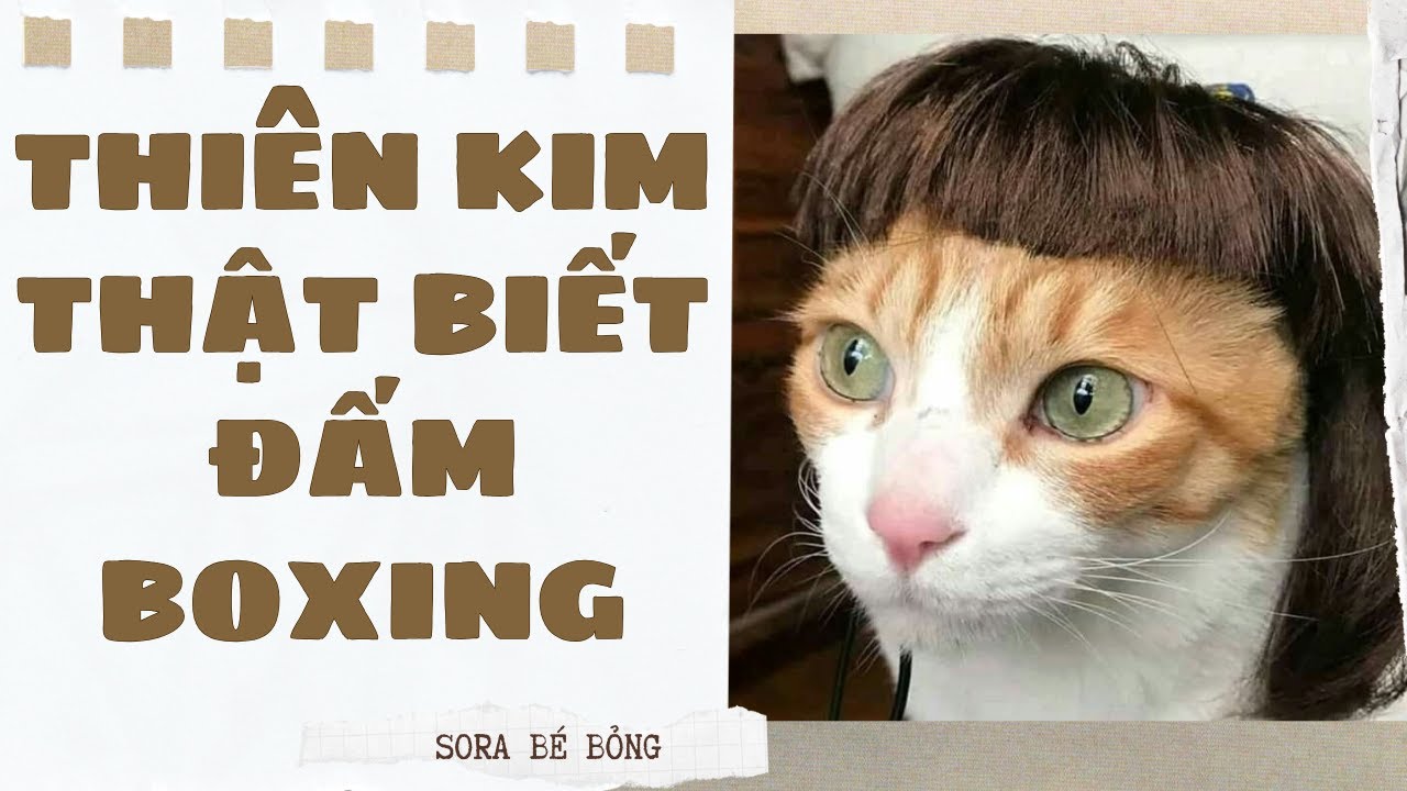 [Truyện Audio ] [FULL] THIÊN KIM THẬT BIẾT ĐẤM BOXING || Sora Bé Bỏng