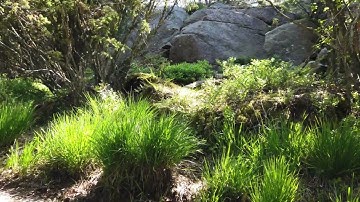 If my manager gives me a lot of pull request comments does that reflect poorly on me?