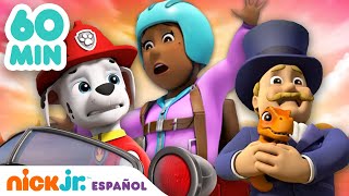 PAW Patrol | 1 hora de rescates de la Patrulla Canina a los alcaldes | Nick Jr. en Español