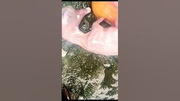 #تلاوة_جميلة #القارئ_عبدالرحمن_مسعد #عبدالرحمن_مسعد #abdulrahman_musad #ولاتجادلوا_اهل_الكتاب #bird