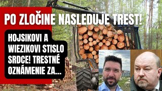 Po zločine nasleduje trest! Progresívci Hojsík a Wiezik si vypočuli tvrdý verdikt! Trestné oznámenie