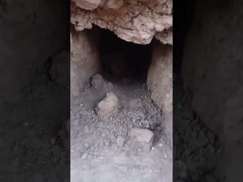 ماذا تعني هذه الإشارة ما الذي يرمز إليه هذا الشكل