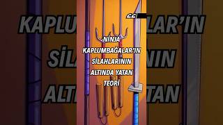 Ninja Kaplumbağaların Silahlarının Altında Yatan Teori