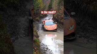 What Does A Lamborghini Do On A Muddy Road In A Forest?