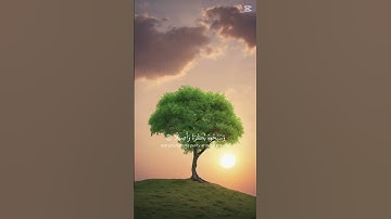 الشيخ ياسر الدوسري سورة الأحزاب #قرآن #quran #ياسر_الدوسري