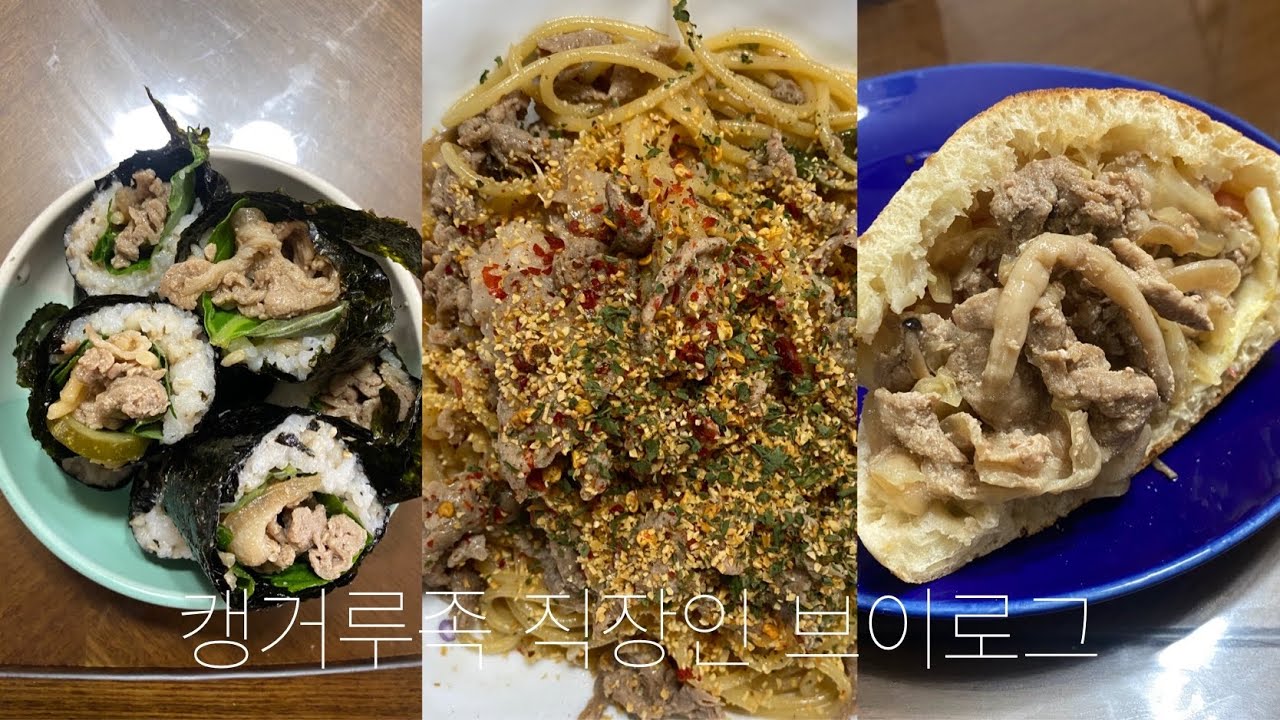 캥거루족 직장인 브이로그🦘 불고기 네 끼, 감기 걸렸다, 일기 쓰면서 주절주절