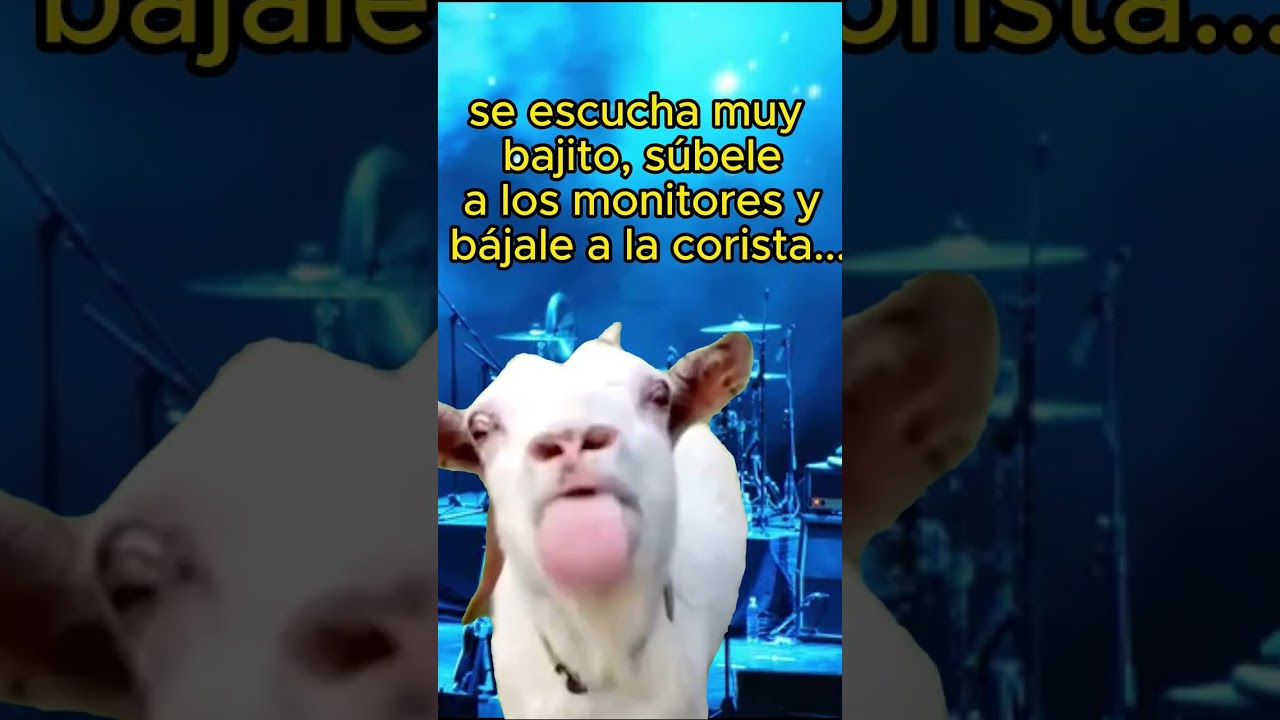 La "eterna pelea" entre el músico y el del audio 🤦‍♂️🙆‍♂️🤣 #meme #tecnoiglesia