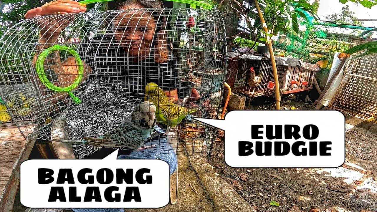 EKSENA SA MALABON JULY 5, 2025 | PET TIANGGE