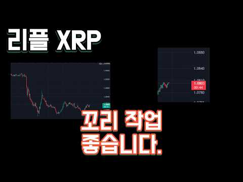 리플 XRP 꼬리 작업 좋습니다.