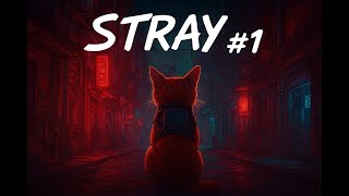 видео: ПУШИСТЫЙ КОТ ГЕНДАЛЬФ В МИРЕ ЖЕЛЕЗА И БЕТОНА 😺 | STRAY #1 — НАЧАЛО ПУТИ картинка: ПУШИСТЫЙ КОТ ГЕНДАЛЬФ В МИРЕ ЖЕЛЕЗА И БЕТОНА 😺 | STRAY #1 — НАЧАЛО ПУТИ