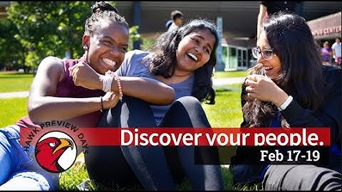 Discover Your People at Hawk Preview Days | a Virtual Illinois Tech Admitted Student Experience