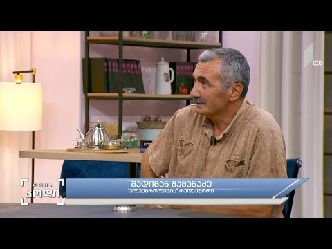 #დღისკოდი ლიტერატურული ჟურნალები და მათი გავლენა - შადიმან შამანაძე, ,,ელექტროლიტის“ რედაქტორი