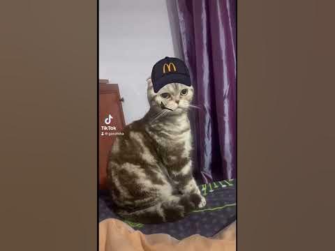Вільна каса - YouTube
