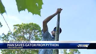 Man saves gator from python