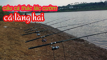 câu cá thác lác cườm (cá làng hai) phần 6